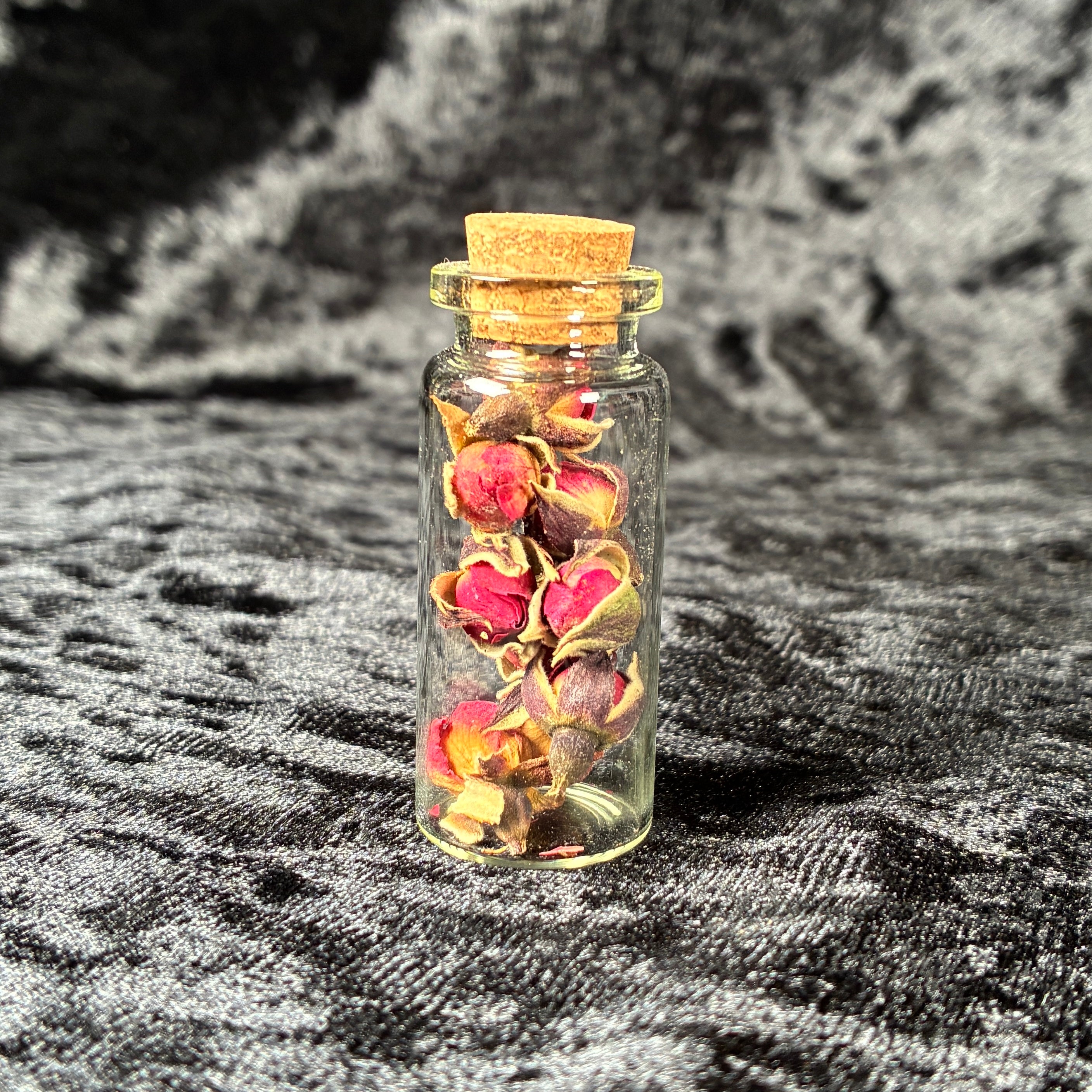 Oddity jar bundle, curio & specimen vials