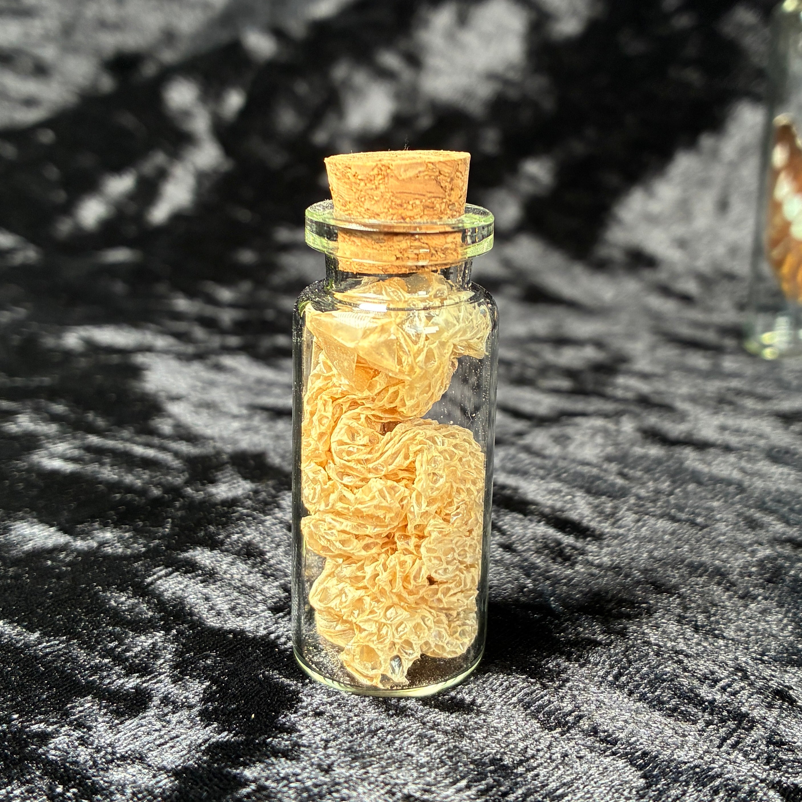 Mixed oddity jar/vial bundle