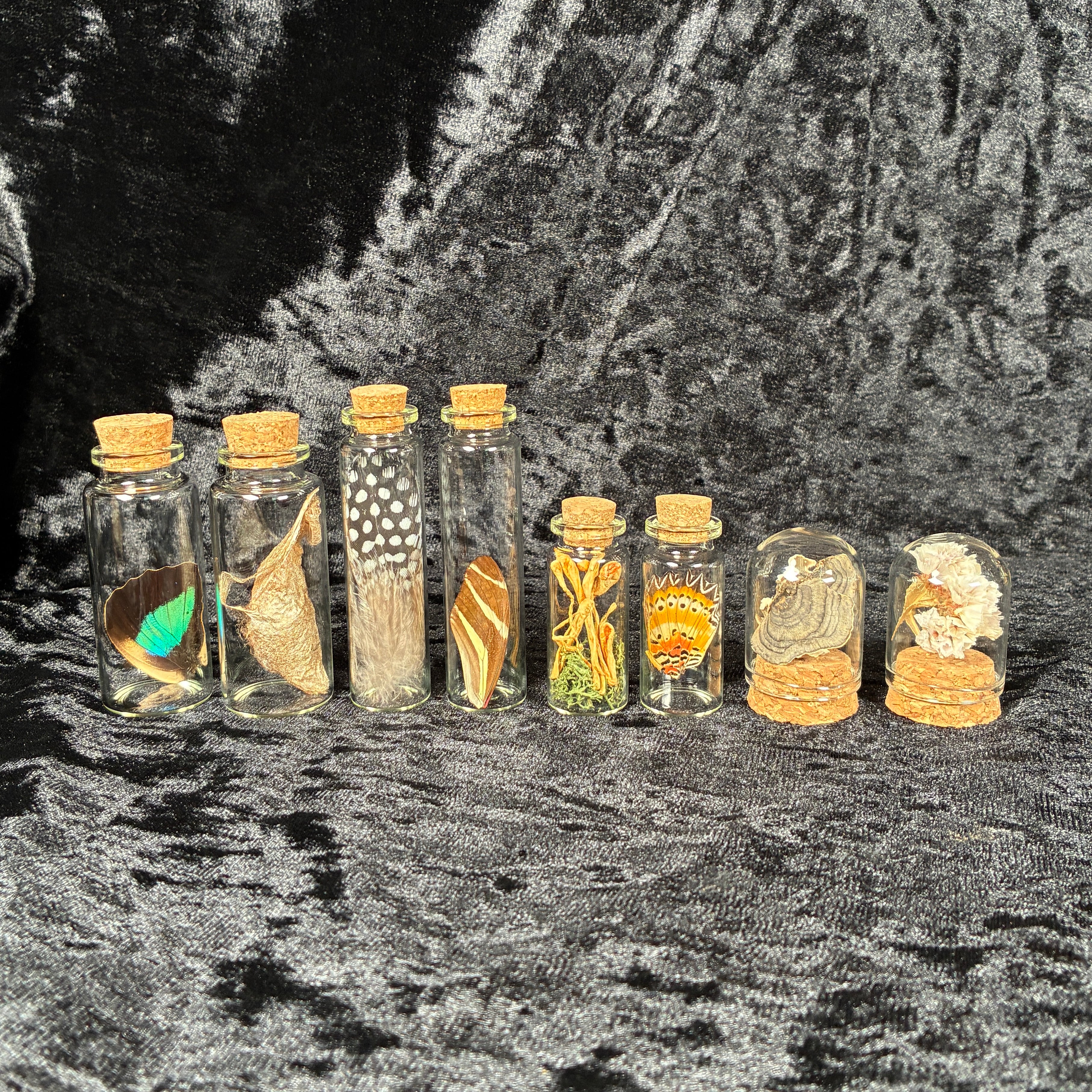 Oddity jar bundle, curio & specimen vials