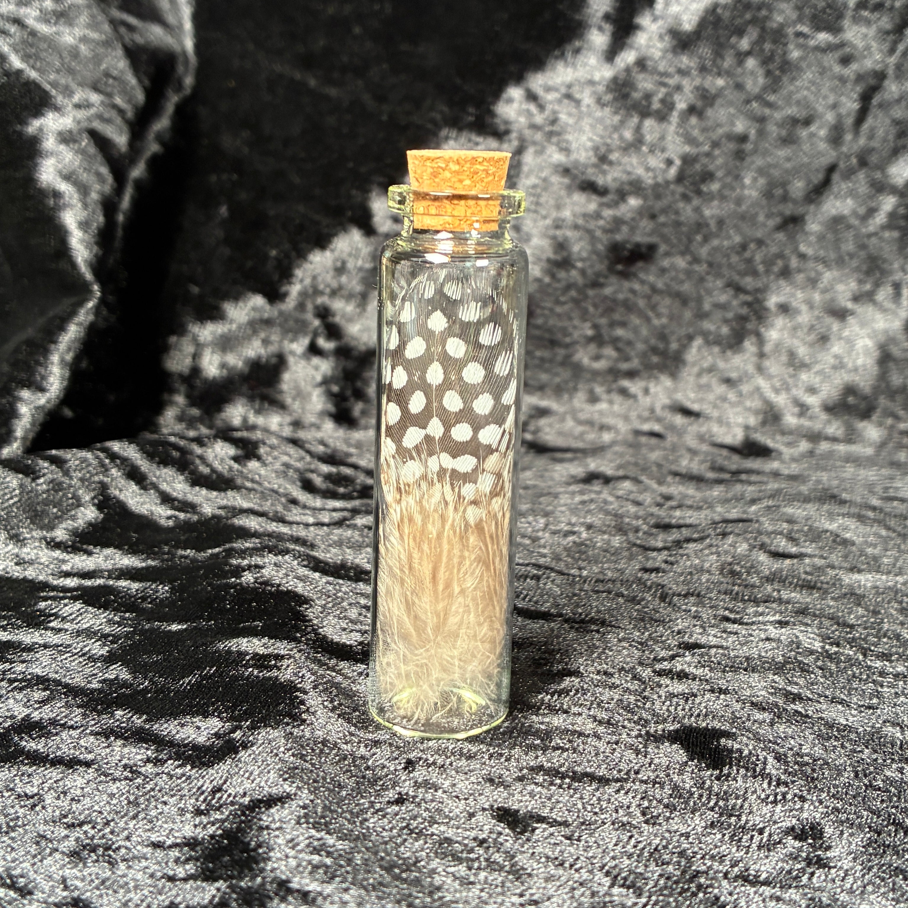 Oddity jar bundle, curio & specimen vials