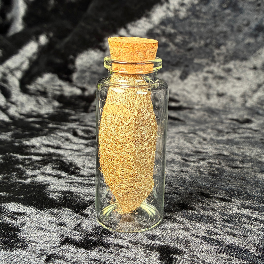 Oddity jar bundle, curio & specimen vials