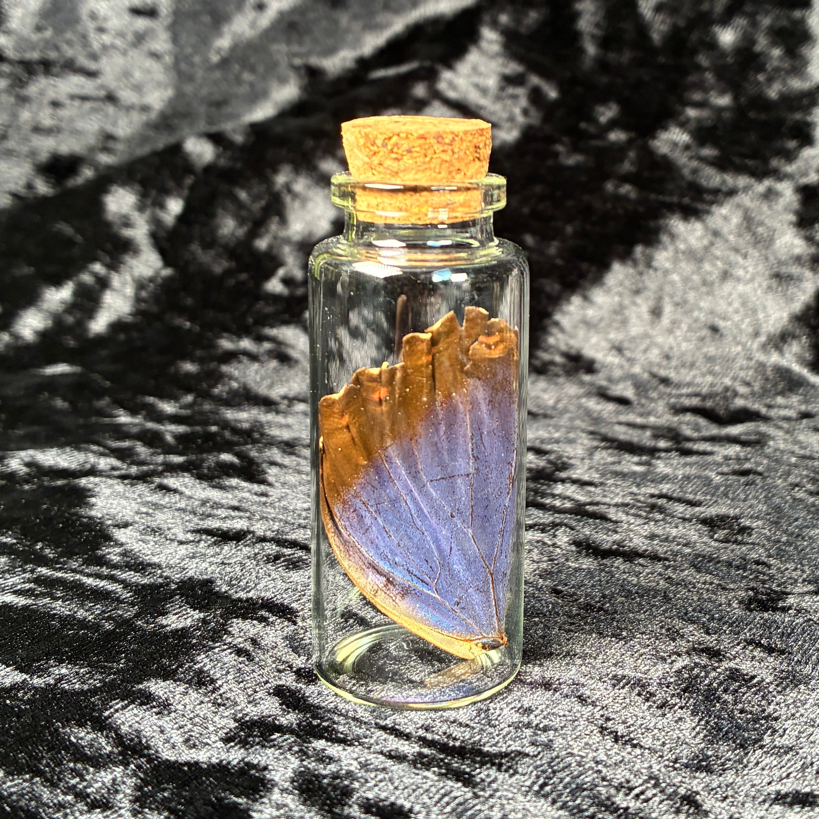 Mixed oddity jar/vial bundle