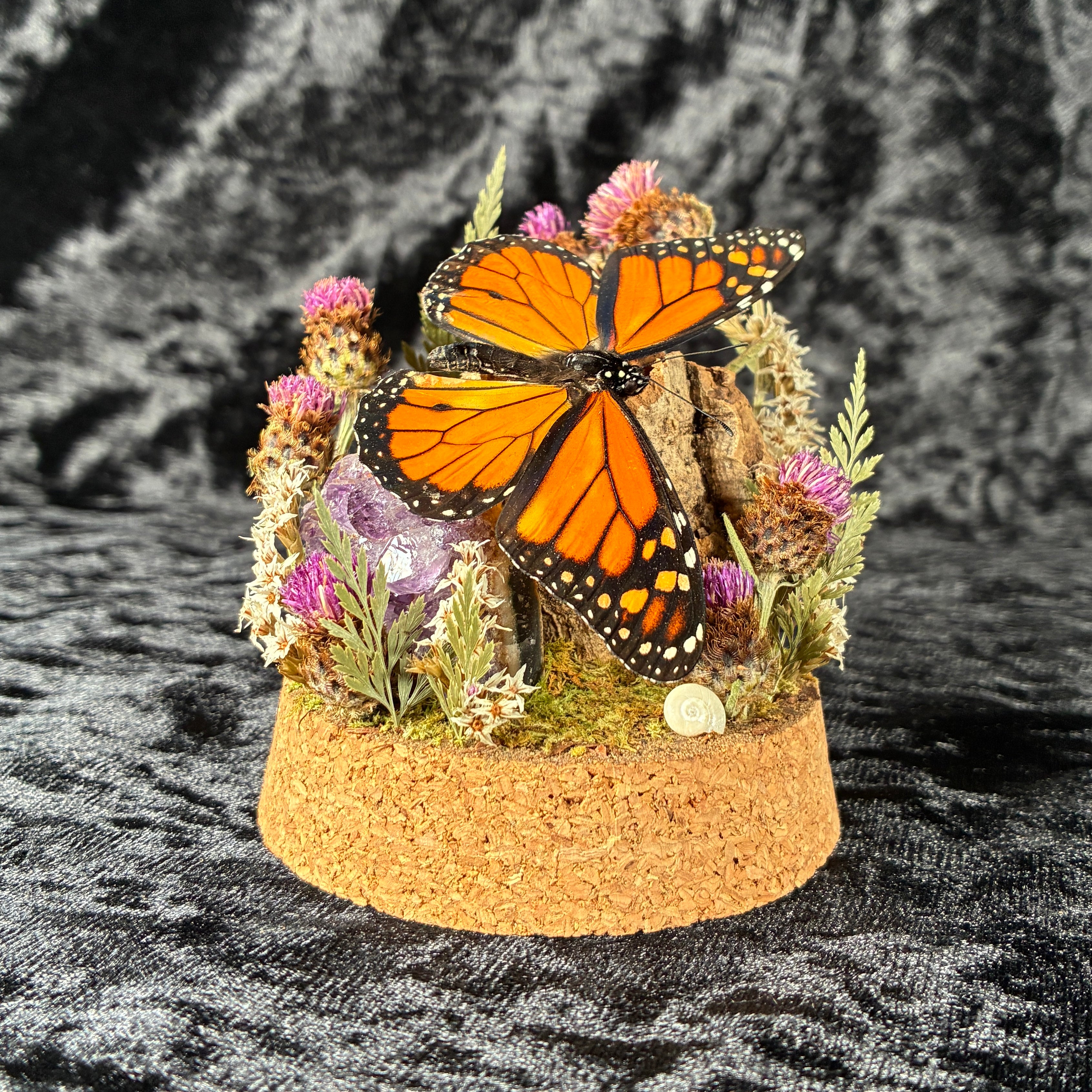 Monarch butterfly dome