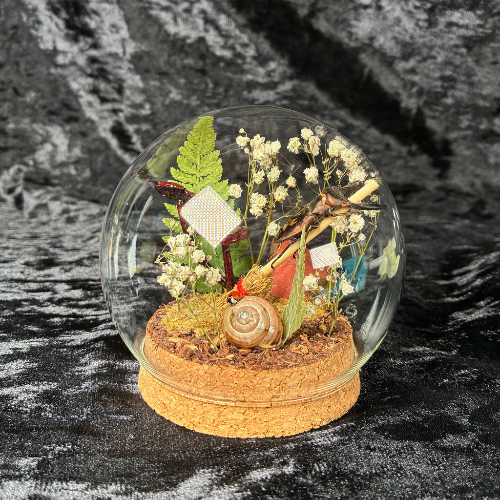 Metallic stag beetle specimen dome