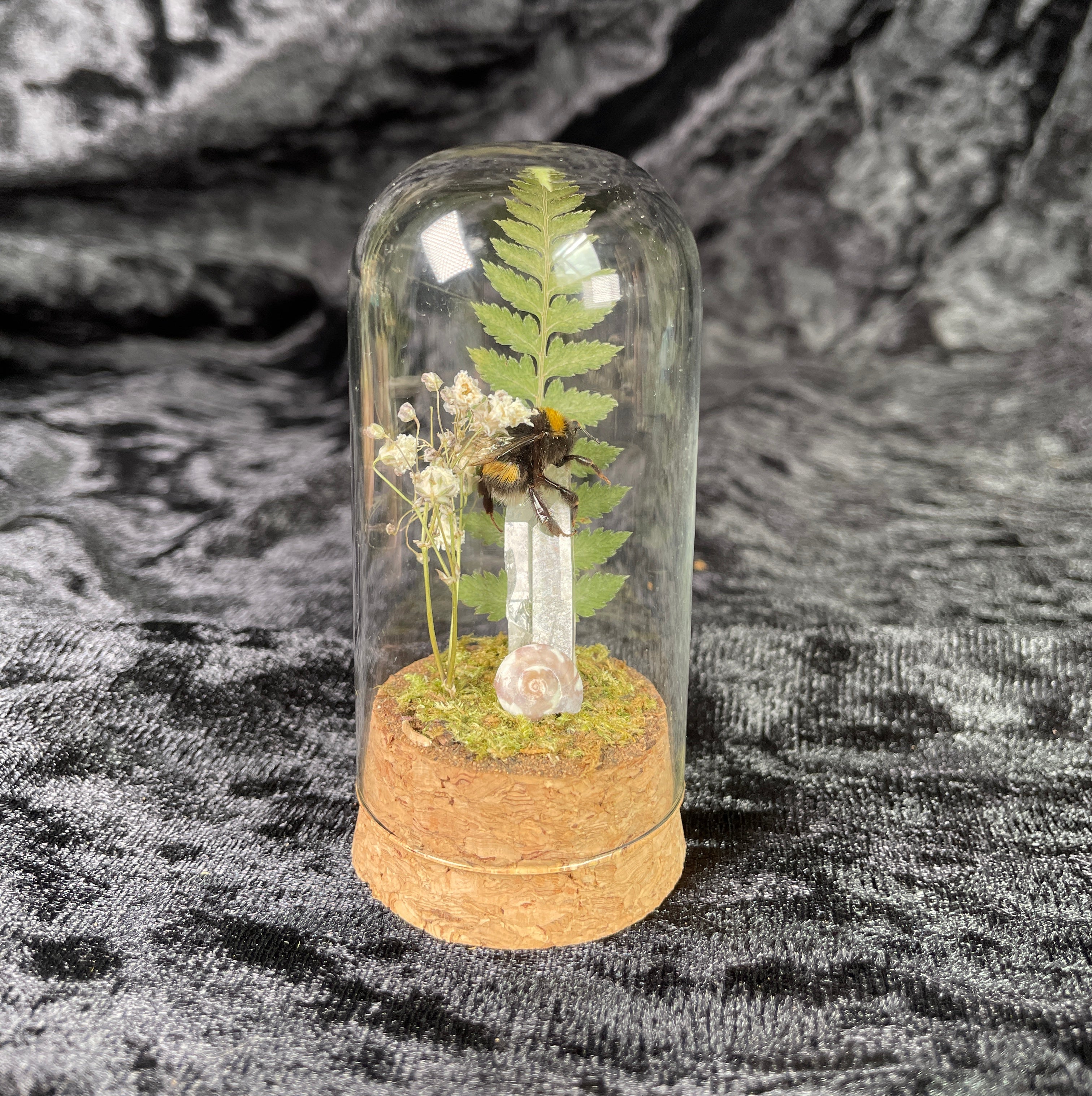 X-small mixed insect domes