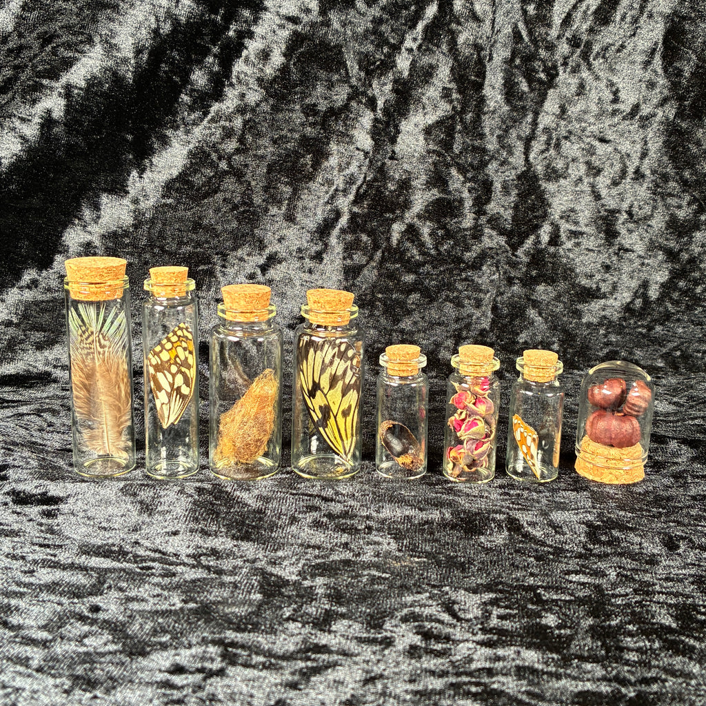 Oddity jar bundle, curio & specimen vials